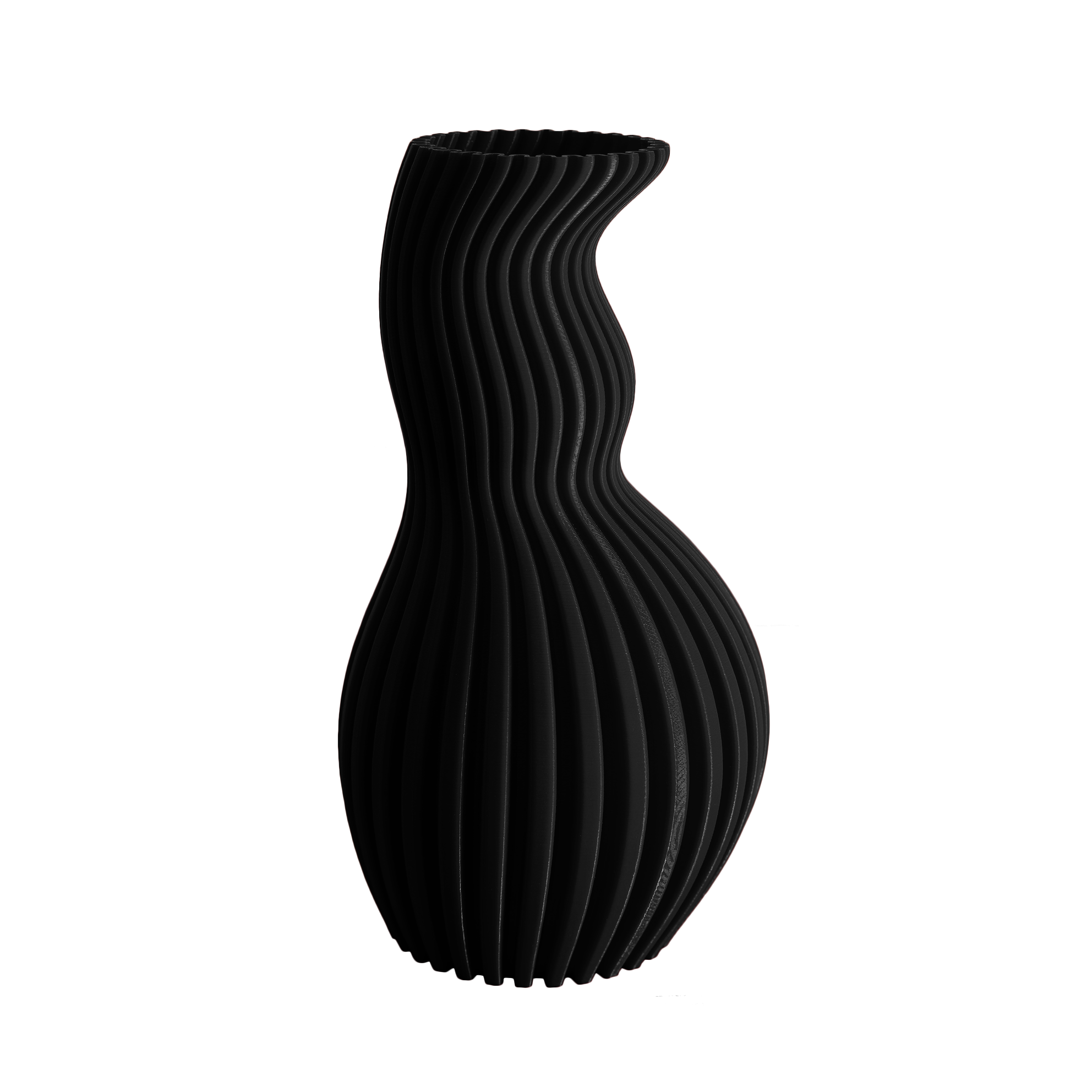 barbavaso-ONOFRIO-000000